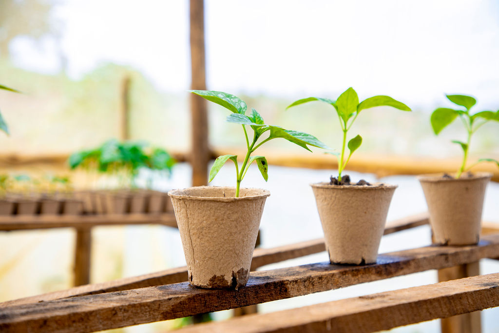 Smart Irrigation System
